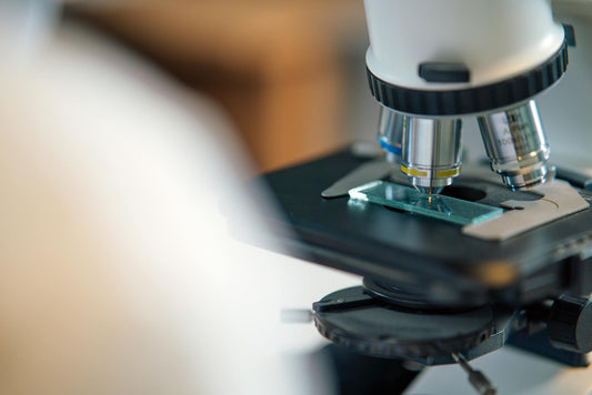 Detailed view of microscope slide setup, essential for biological research.